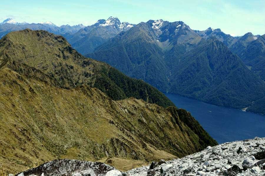 Scenic photo of New Zealand. 