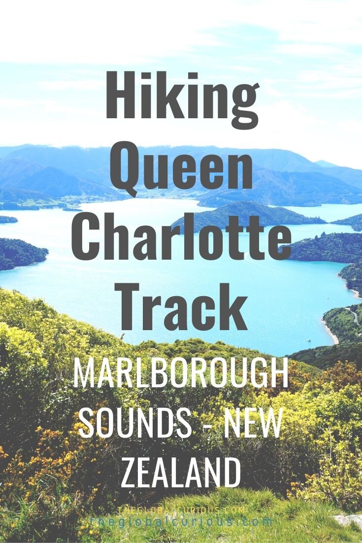 Hiking Queen Chaarlotte Track - The Global Curious Travel Blog.jpg