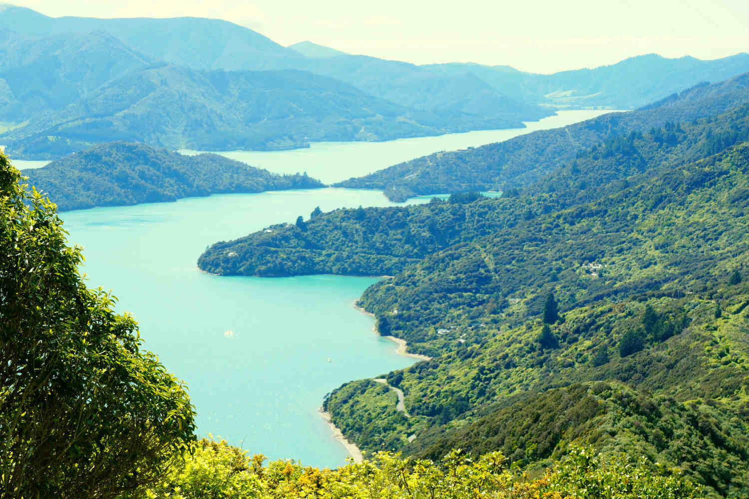 Views from one of the highest points of the Queen Charlotte Track