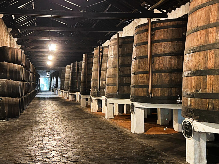 In an old wine cellar, half a dozen extra large brown oak barrels stand upright in a line down the right side, each on a white wooden base. Dozens of smaller oak barrels lie stacked on their side down the left side of the image.