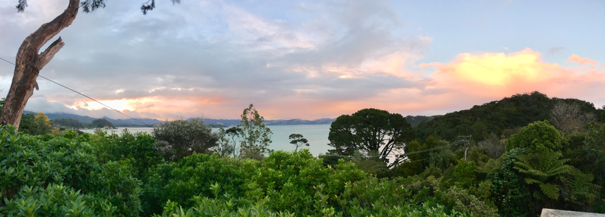 Looking through the green treetops to a calm blue bay in the background, under a pink and yellow sunset sky.