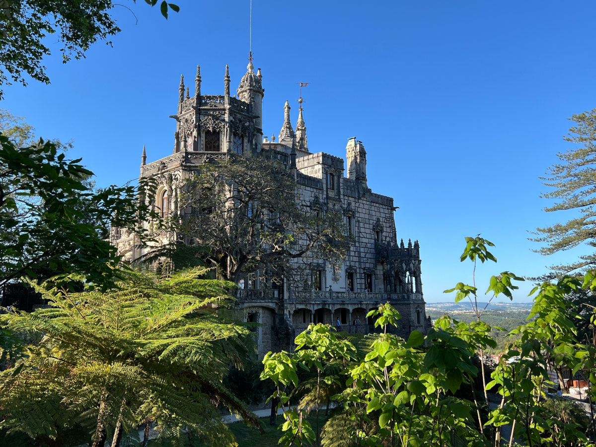 Landscape image of green ferns and trees in foreground with large grey gothic castle in the background under a clear blue azure sky.
