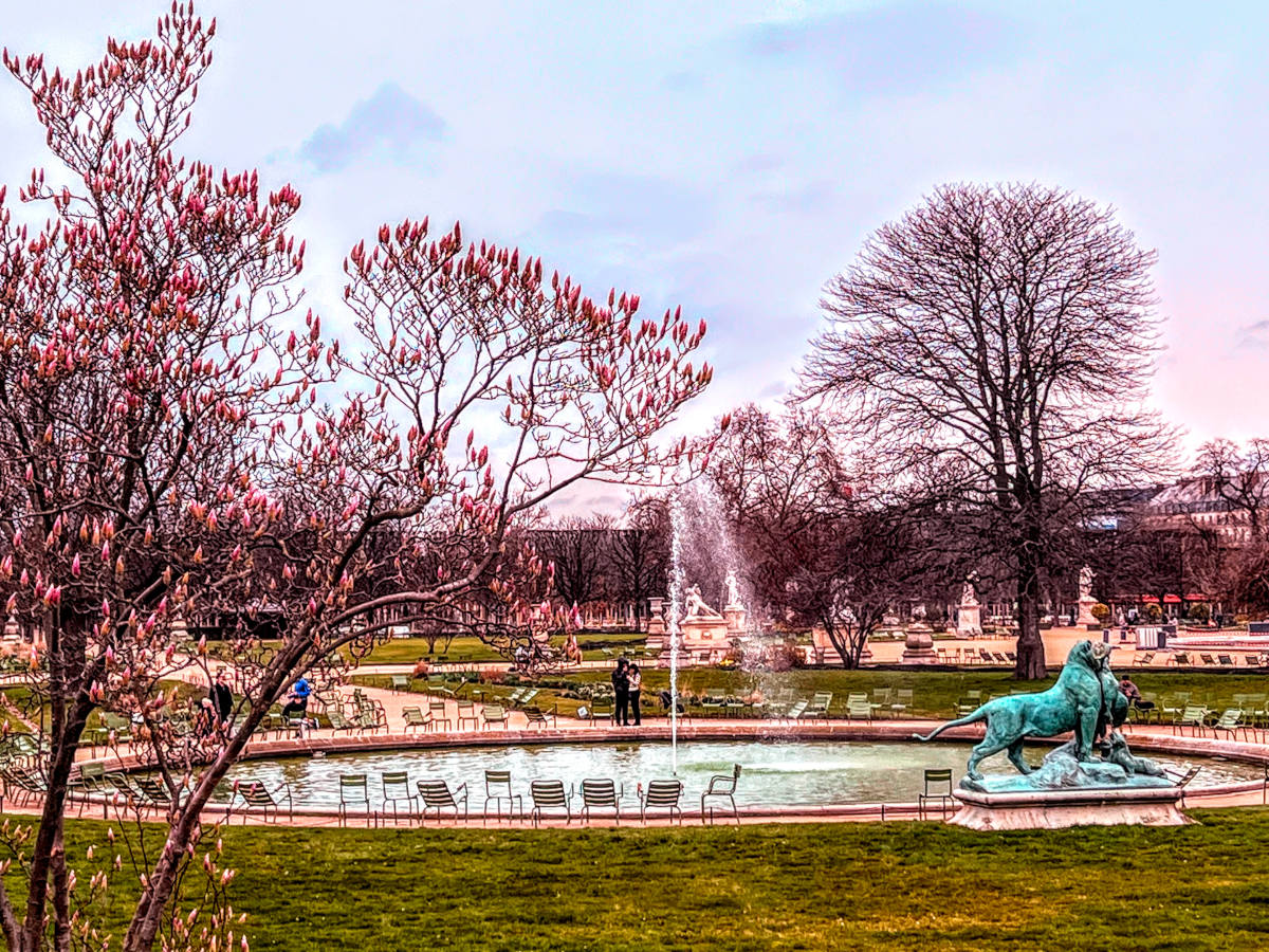Landscape park scene with budding tree in the front, a circular pond with a fountain and bronze lion in the middle ground and parkland in the background. All in a pinkish hue.