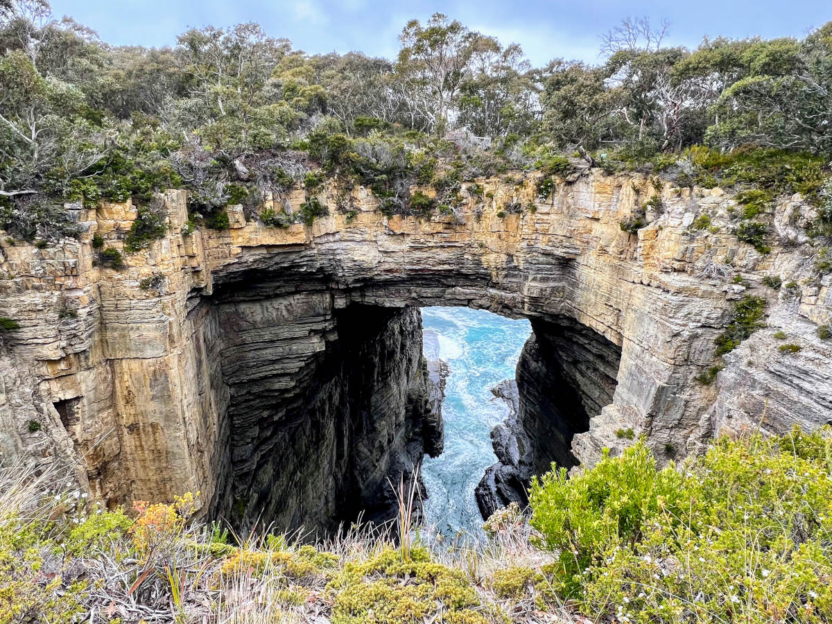 Day trips from Hobart include visiting Tasman Arch sea cliff formation where waves have eroded a tunnel in a cliff surrounded by trees.